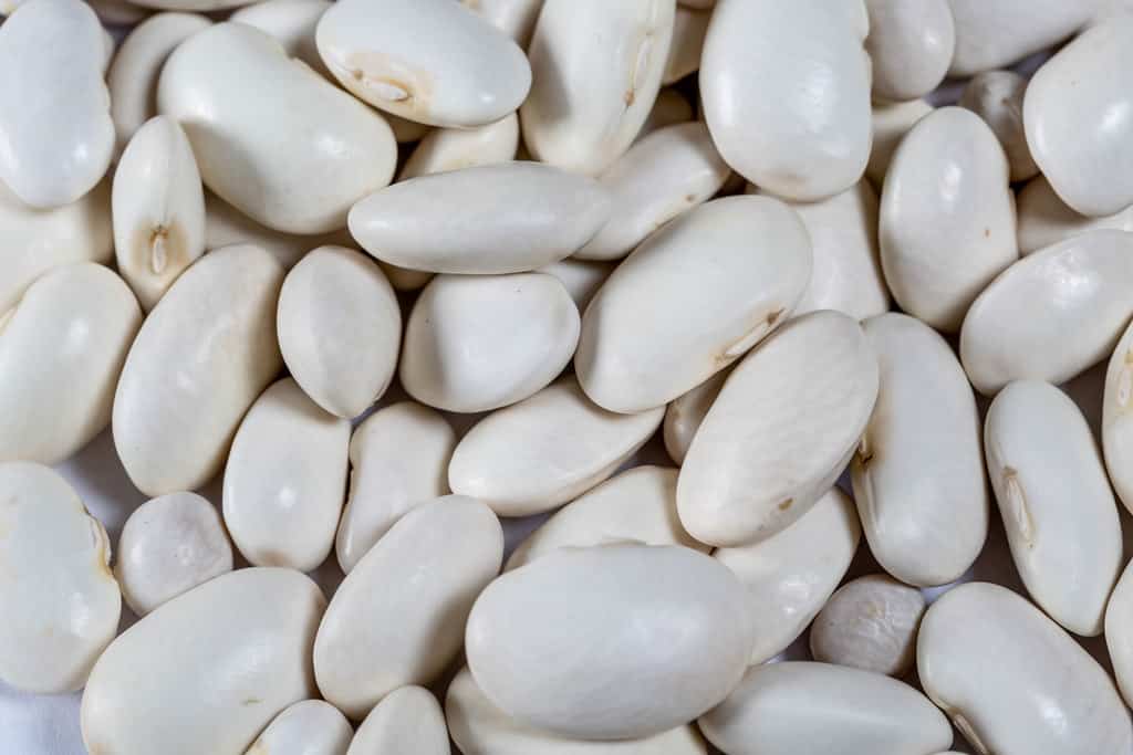 White Beans