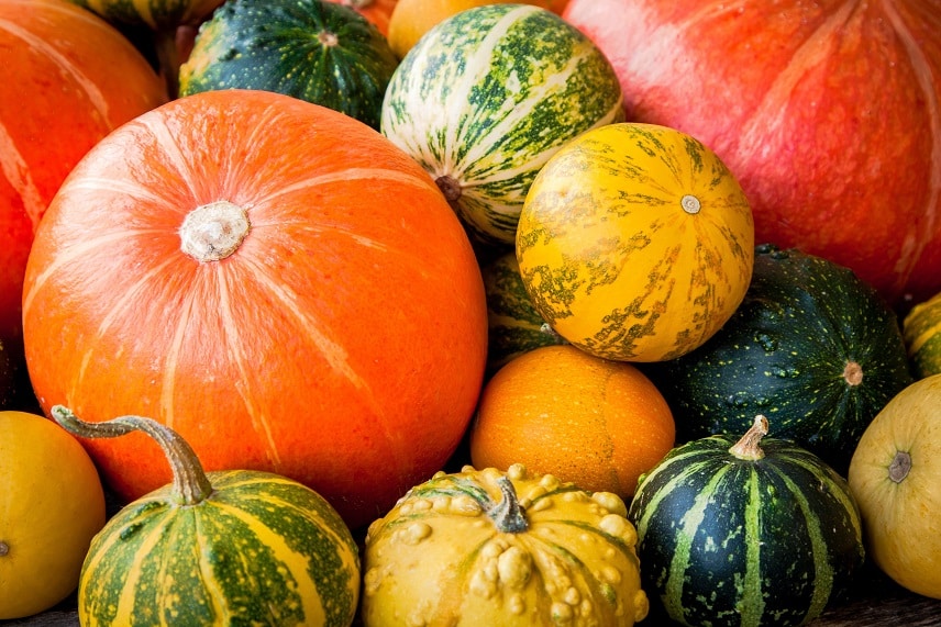 All About Winter Squash: Types, Cook And Pick Winter Squash - Miss Vickie