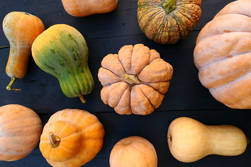 how-to-cut-large-winter-squash-step-by-steps-miss-vickie