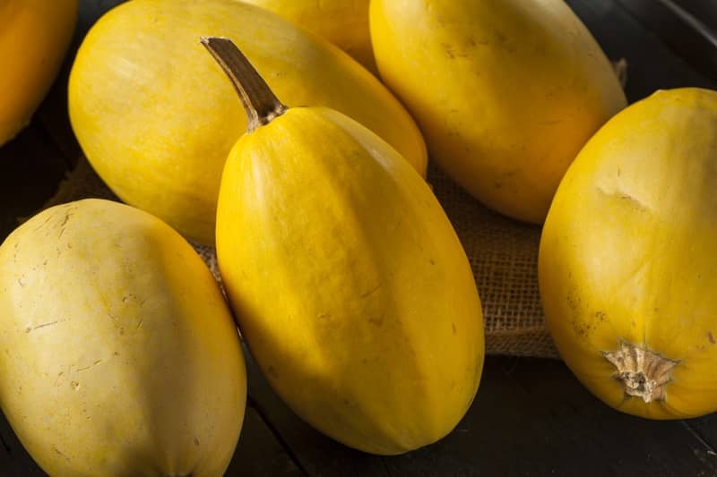 Spaghetti Squash