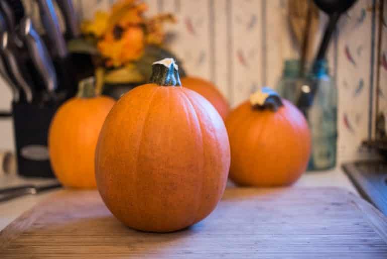 12 Varieties Of Winter Squash (Edible, Tastiest, Large and Small Types