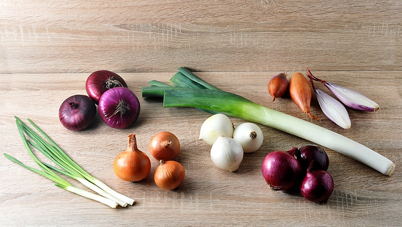 12-varieties-of-onion-common-types-of-onions-miss-vickie