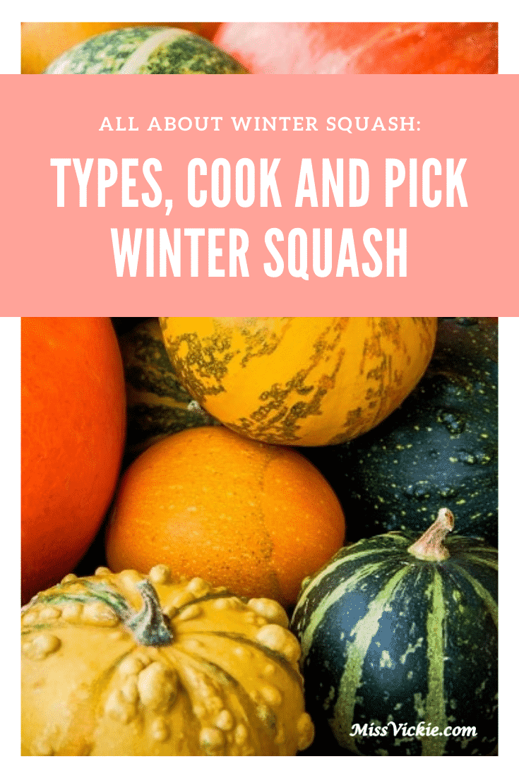 All About Winter Squash