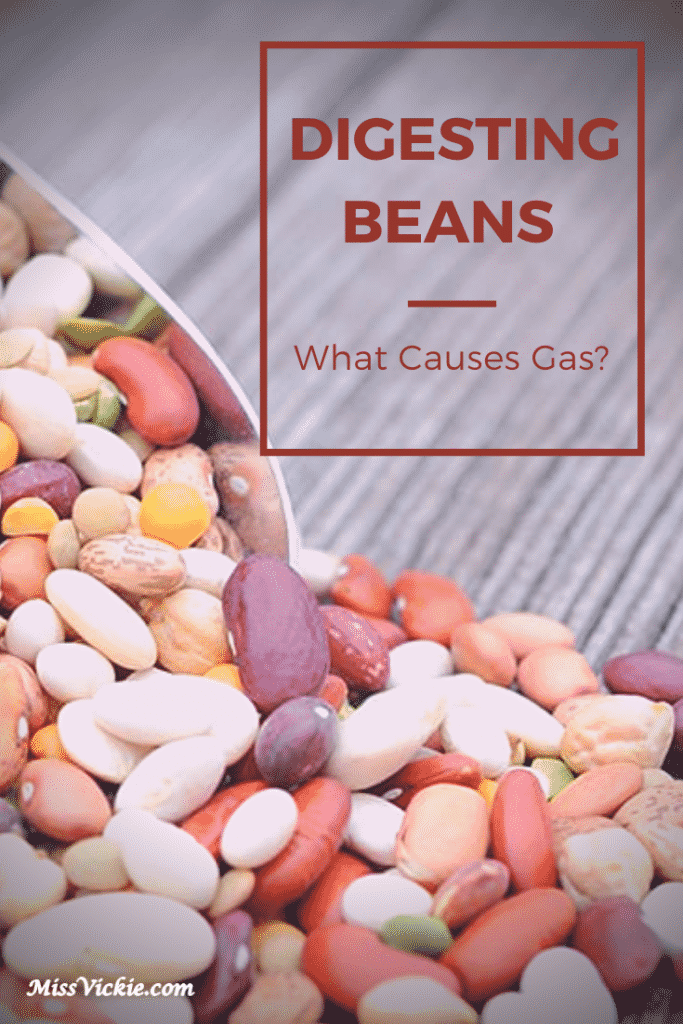 digesting-beans-what-causes-gas-answered-miss-vickie