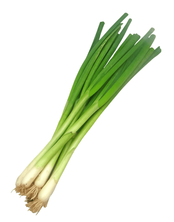 Scallions