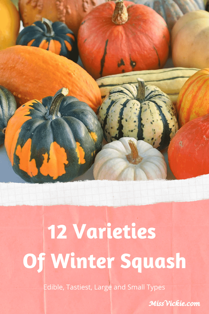 Varieties of Winter Squash