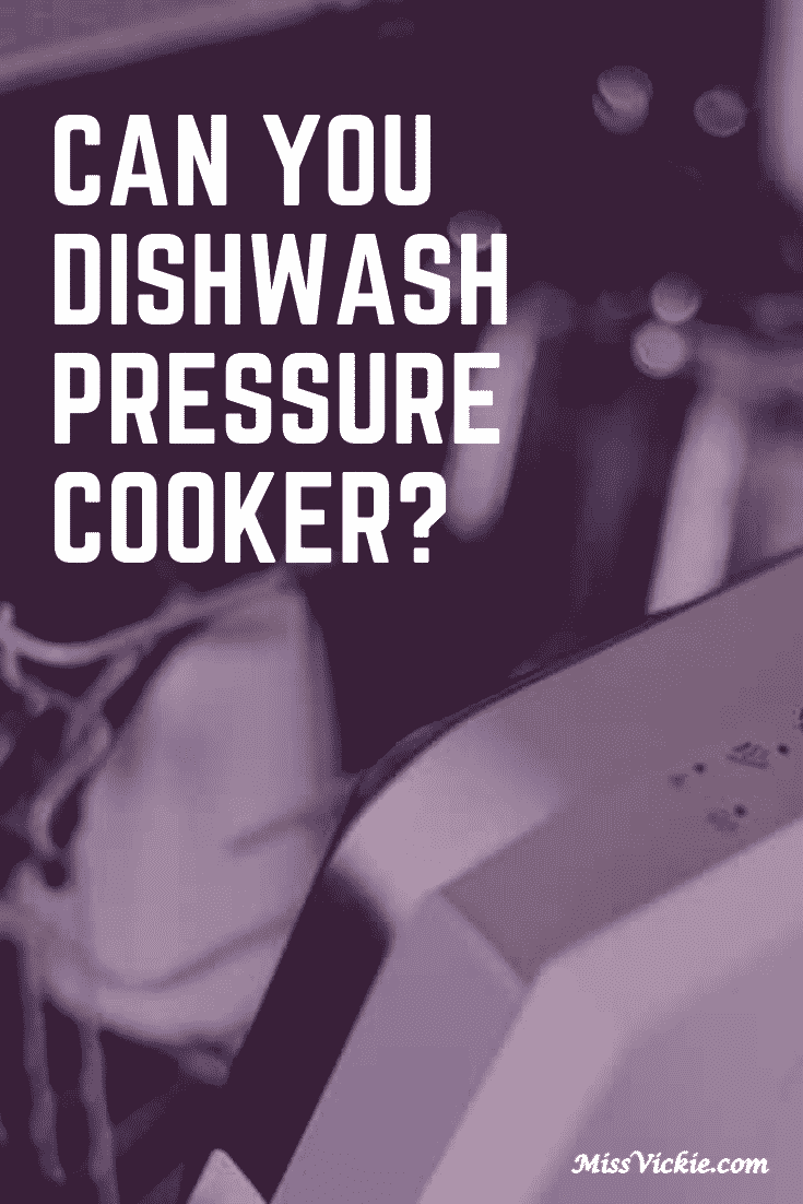 Can Pressure Cooker Be Washed in The Dishwasher