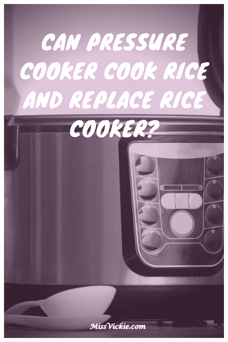 Can Pressure Cooker Cook Rice And Replace Rice Cooker