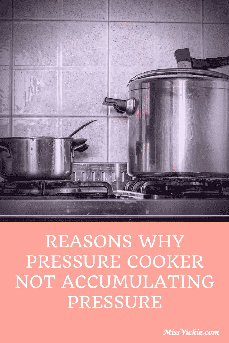 Reasons Why Pressure Cooker Not Building Up Pressure
