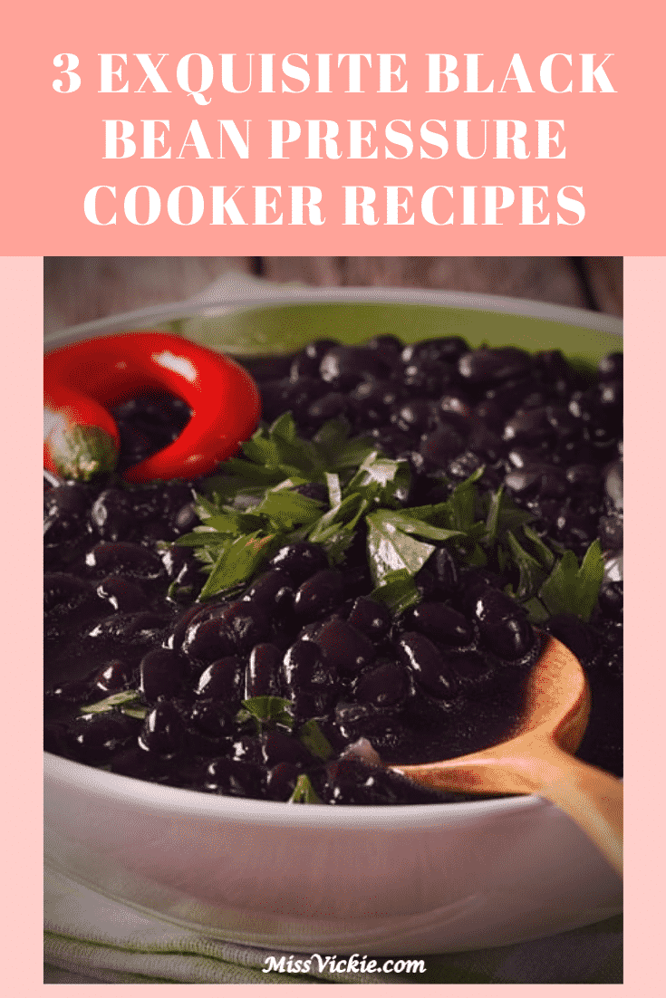 Black Bean Pressure Cooker Recipes