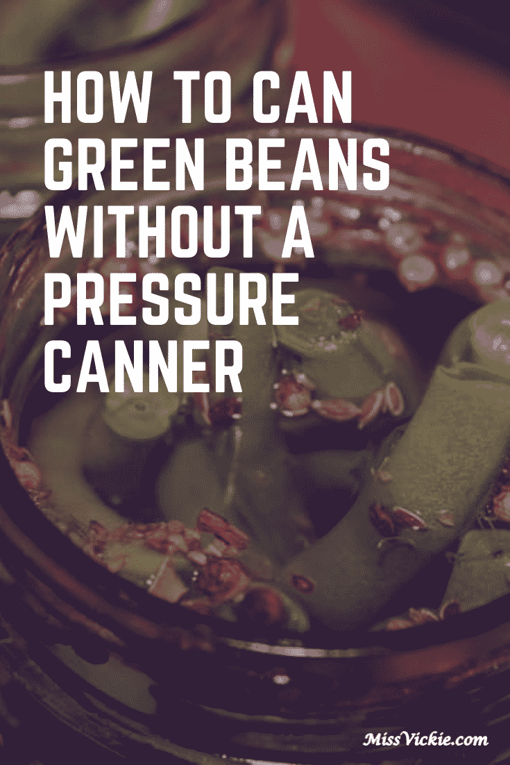 How To Can Green Beans Without A Pressure Canner Miss Vickie