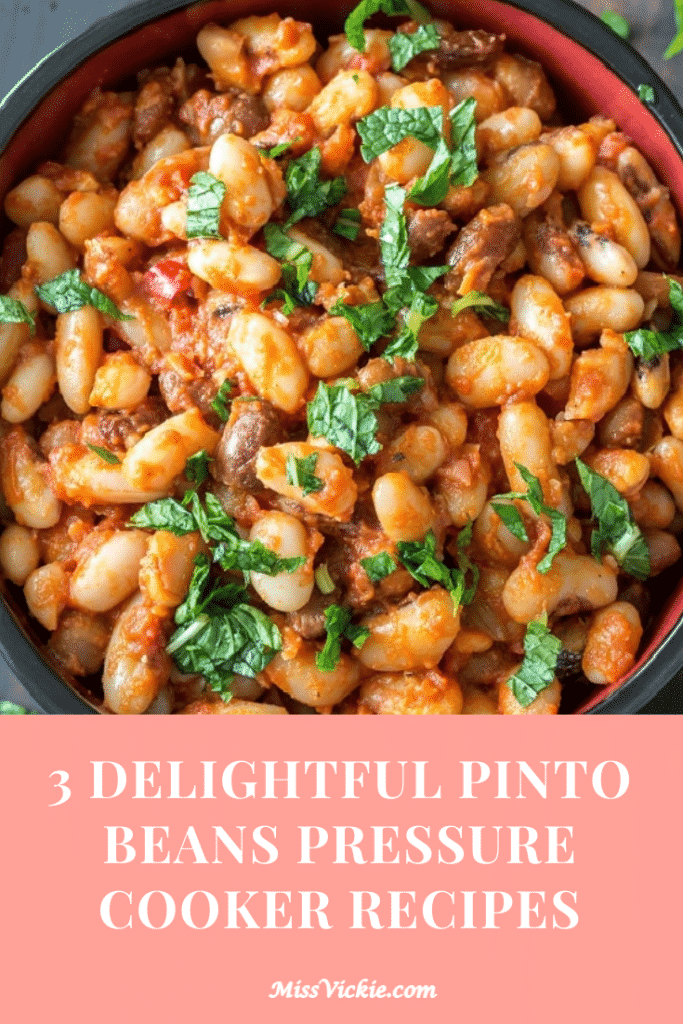 3 Delightful Pinto Beans Pressure Cooker Recipes - Miss Vickie