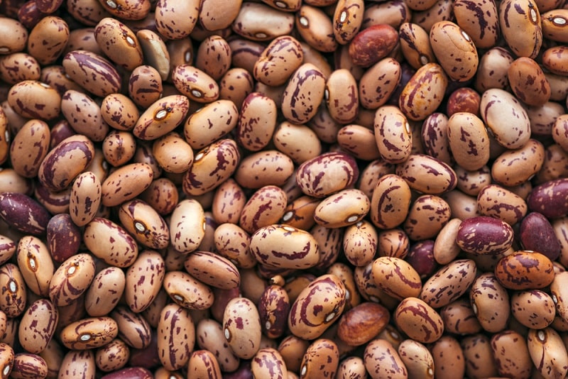 How To Cook Pinto Beans In A Pressure Cooker Miss Vickie