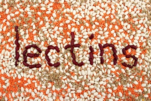 What do lentils do?