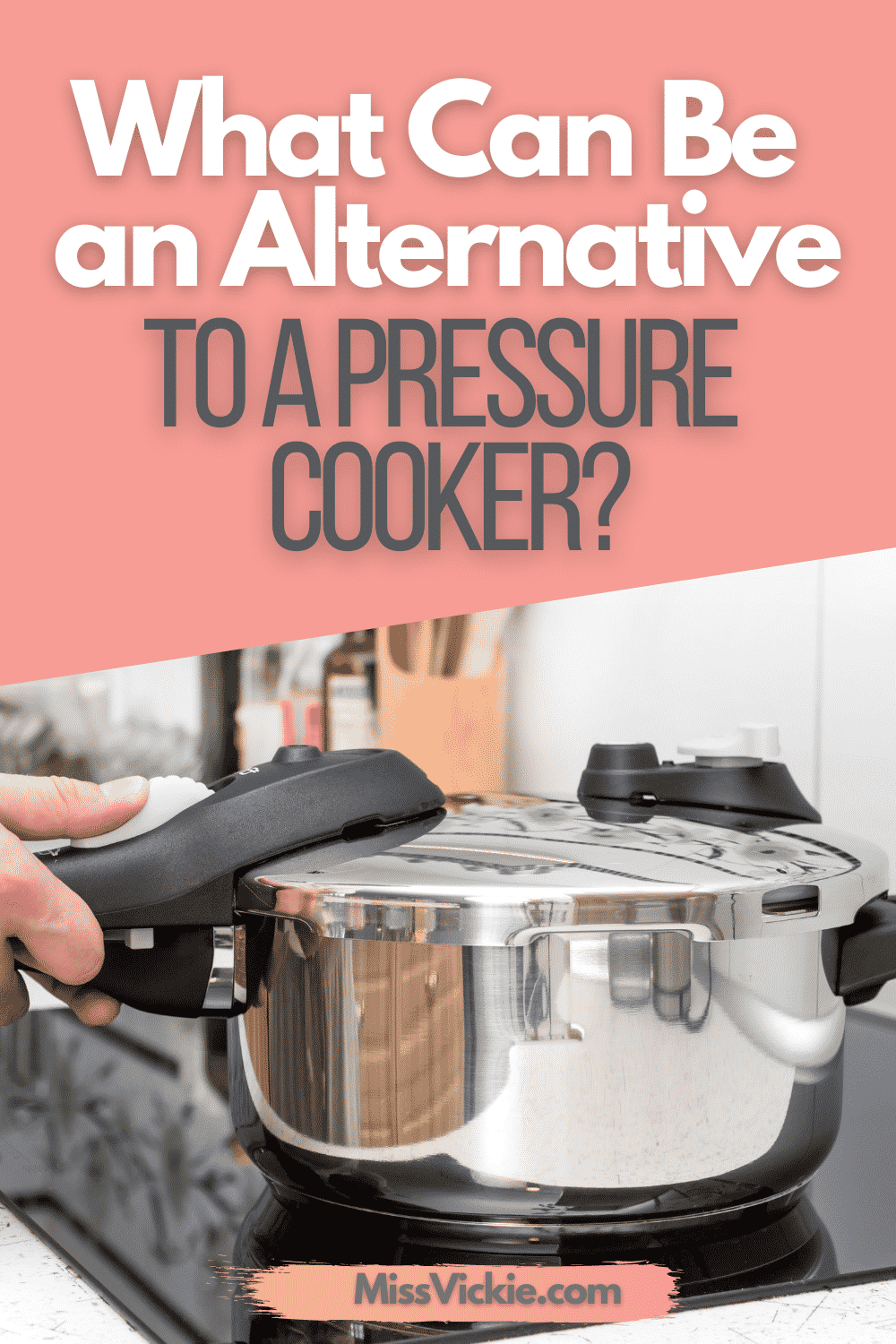 Pressure Cooker Alternatives