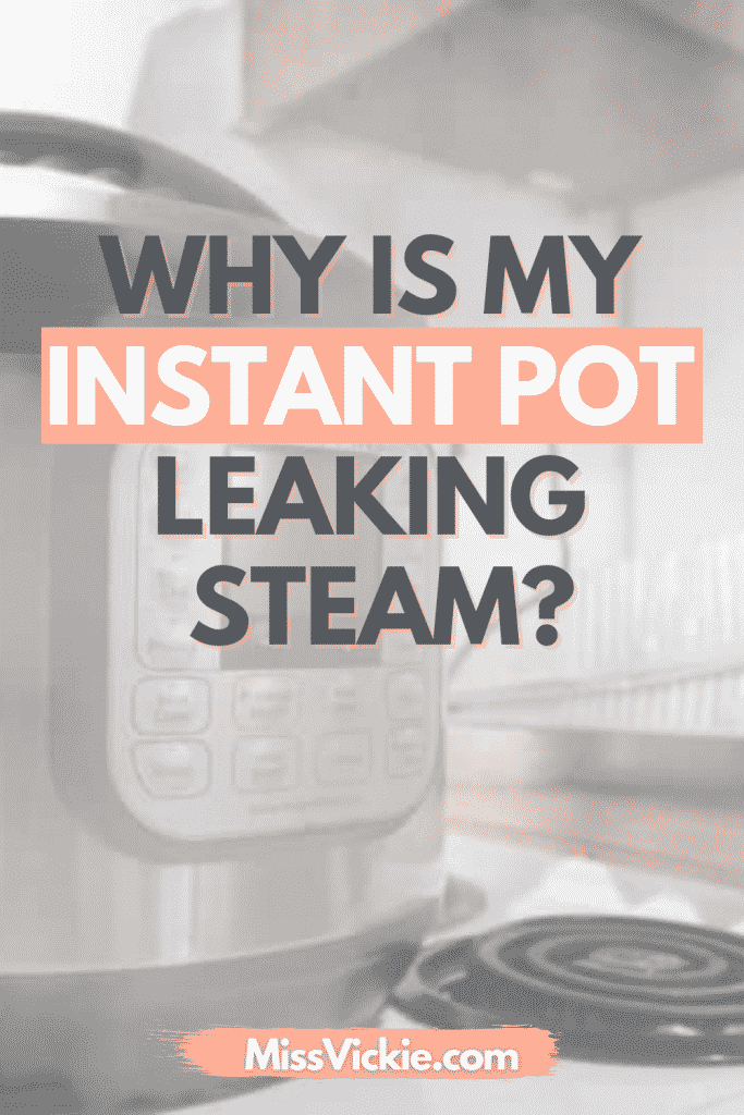 Instant Pot Leaking Steam: 4 Helpful Fixes! - Miss Vickie