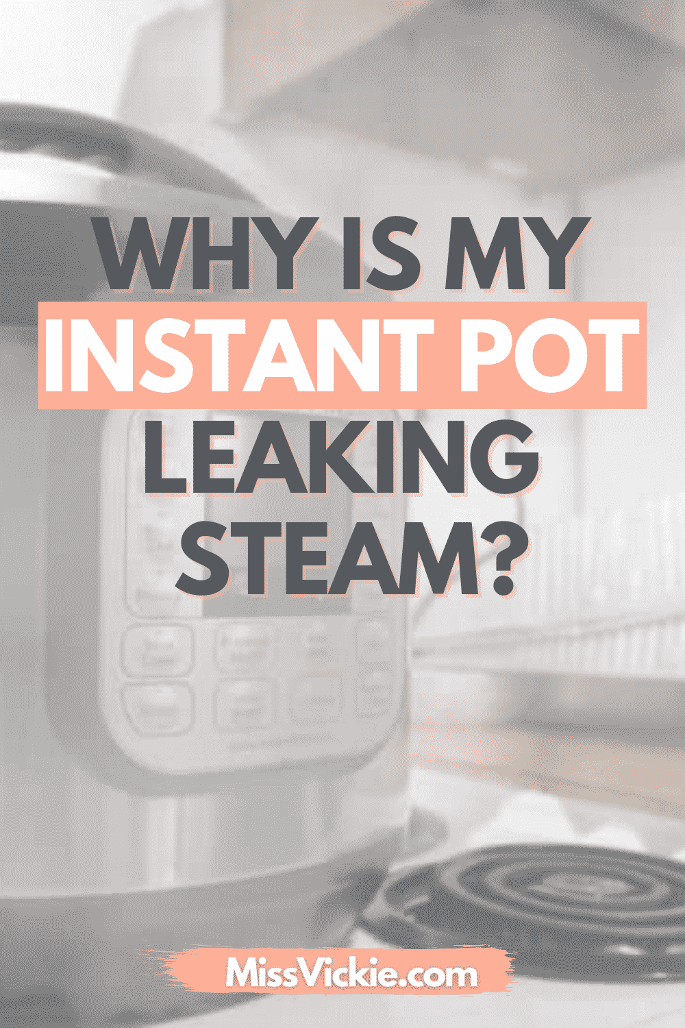 Instant Pot Leaking Steam