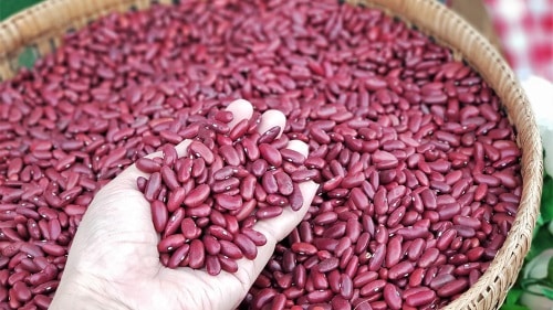 Red rajma