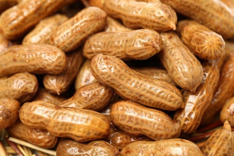 how-to-boil-peanuts-in-pressure-cooker-miss-vickie