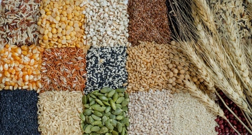 Stored grains