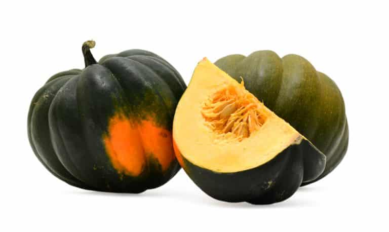 What To Do If My Acorn Squash Turned Orange? - Miss Vickie