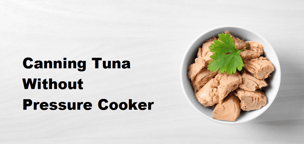 canning tuna without pressure cooker