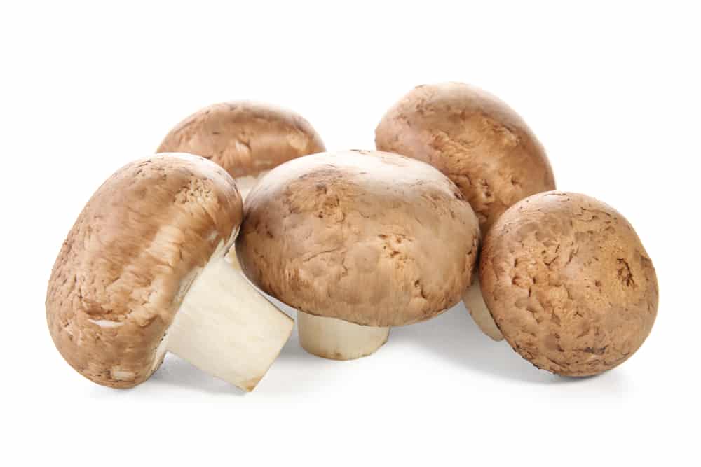 cremini mushroom substitute