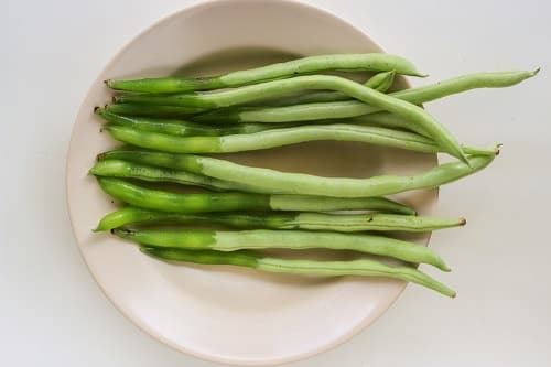 Green beans become slimy