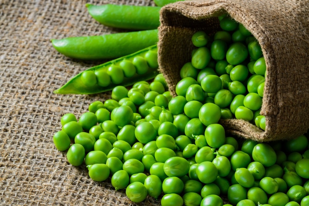 hearthy fresh green peas and pods