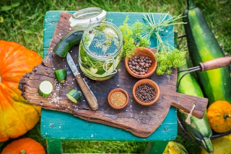 5 Steps To Can Squash Without Pressure Cooker Miss Vickie