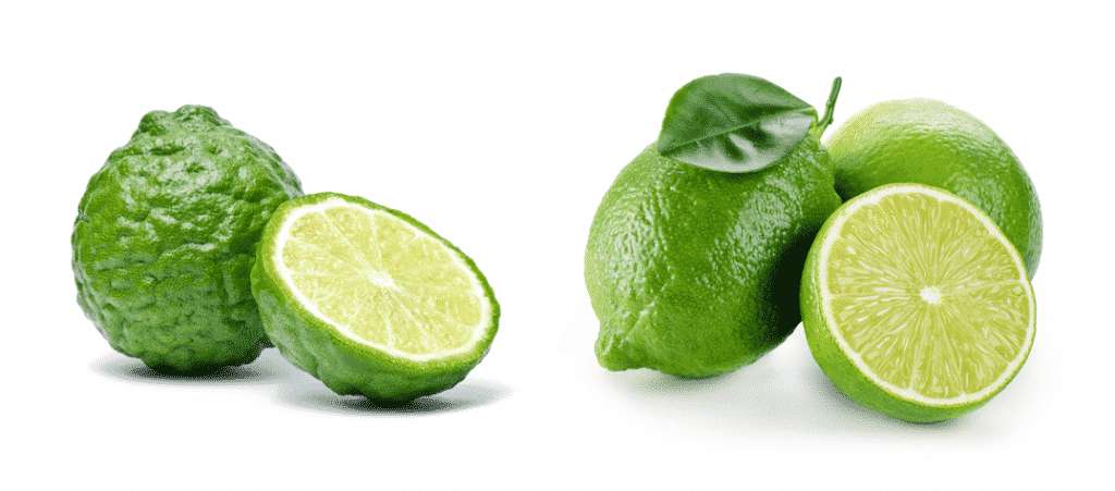 kafir lime vs lime