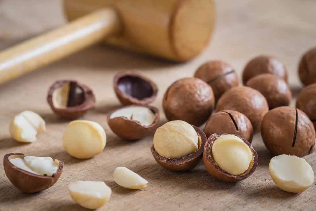 5 of the Best Candlenut Substitutes Which Work Best in Most Recipes