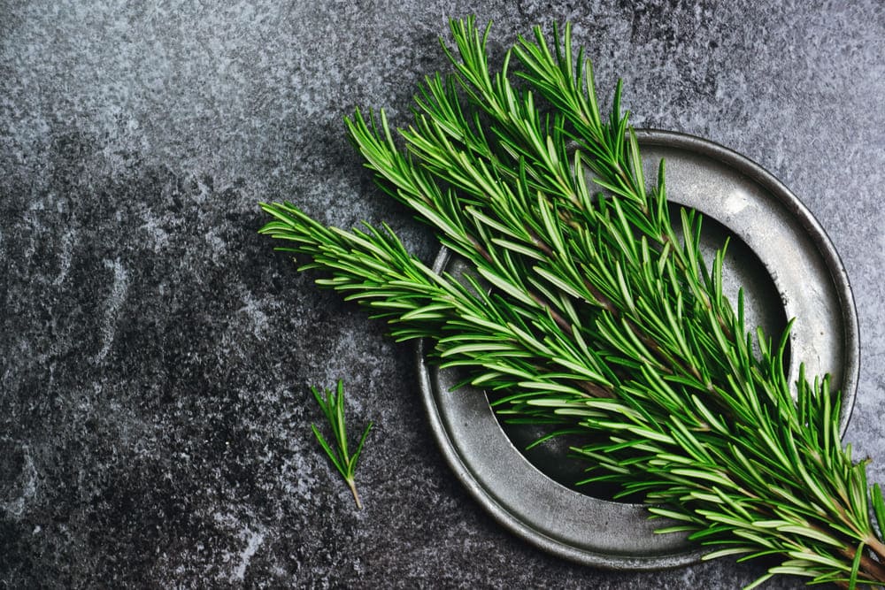 4 Ways To Fix Your Dish After Adding Too Much Rosemary Miss Vickie