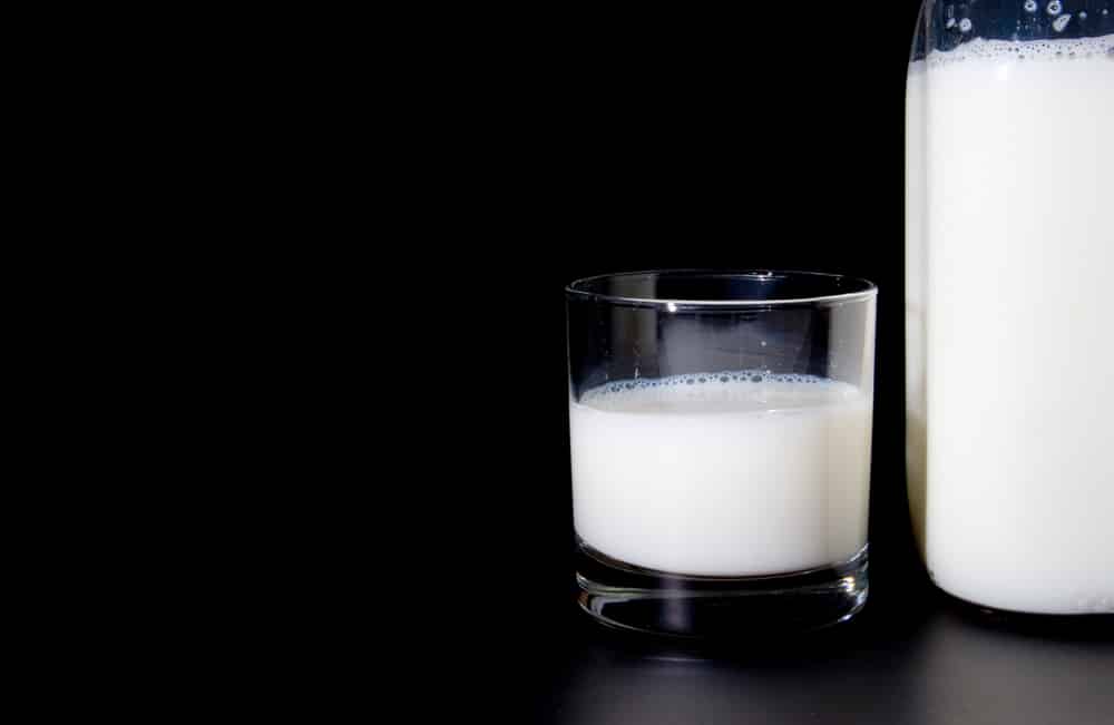 what is homogenized whole milk