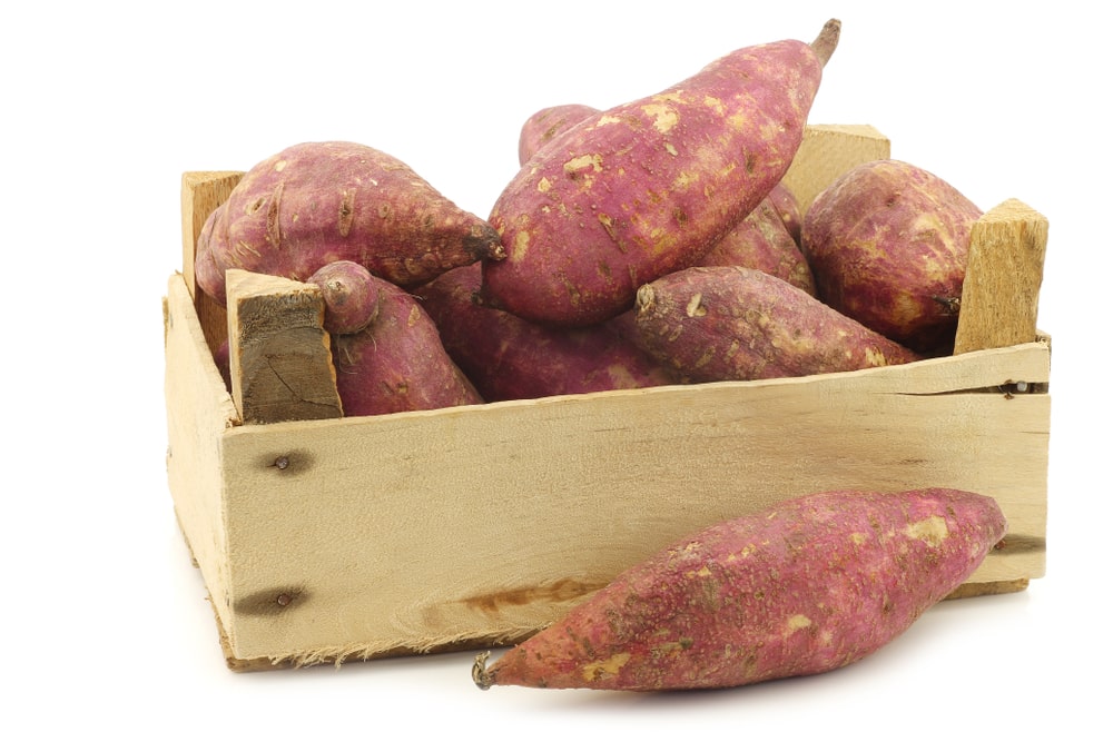 Sweet Potato Storage