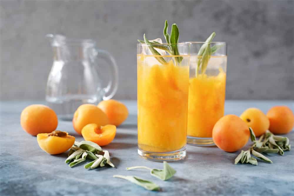 apricot nectar juice recipes