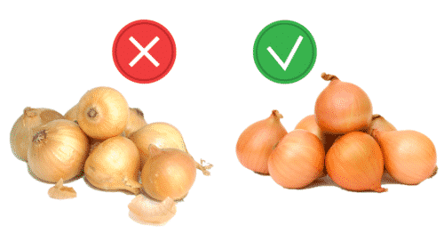 Avoid using sweet onion variety