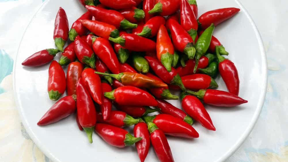 3 Best Substitutes For Calabrian Chili - Miss Vickie