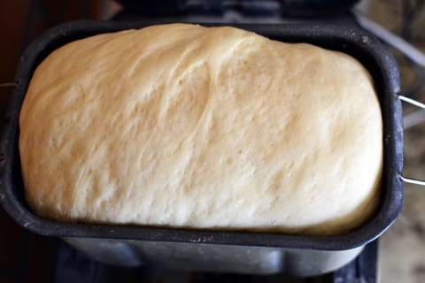 Dumpling dough