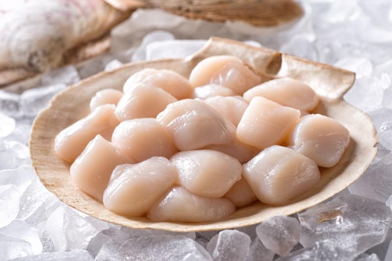 What Is The Difference Between Real And Fake Scallops?