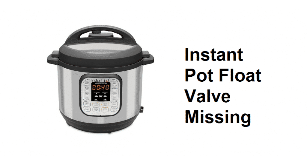 Instant Pot Float Valve Missing