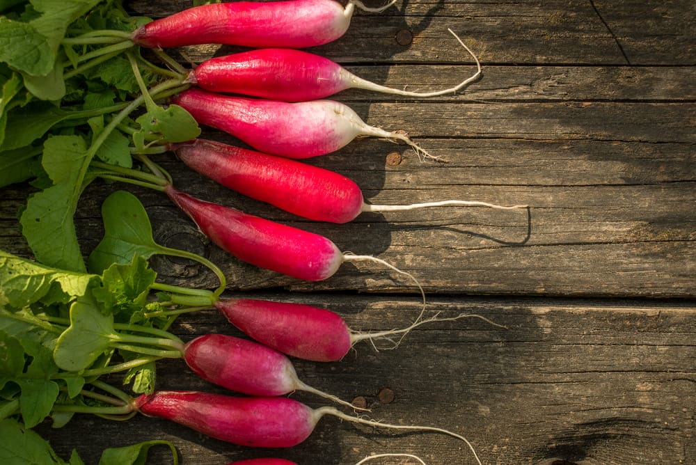 radish substitute