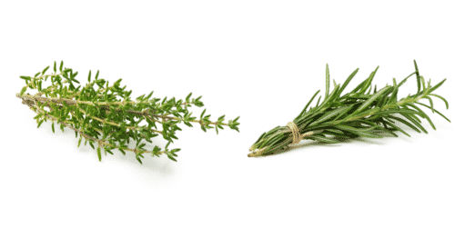 Thyme and rosemary