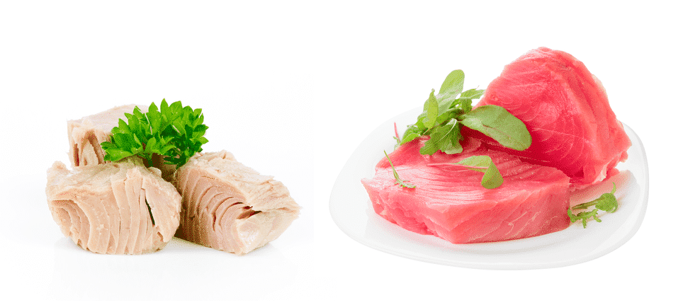 white tuna vs red tuna