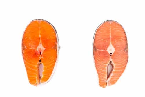 Wild salmon vs farmed salmon