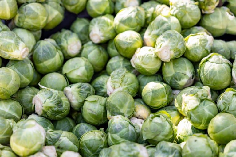 How Long To Cook Brussel Sprouts In Pressure Cooker? Miss Vickie