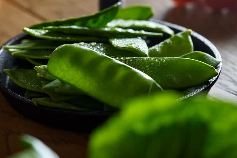 Fresh flat green beans with water drops