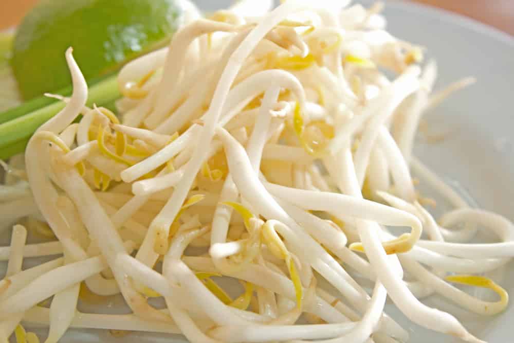 Mung Bean sprouts