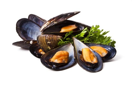 Black mussels