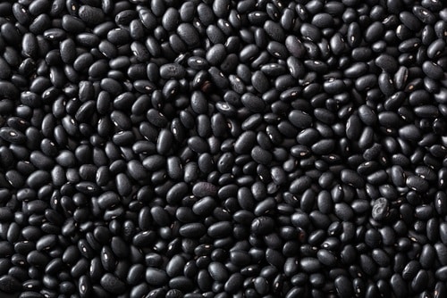 Black turtle beans are shinier than black beans